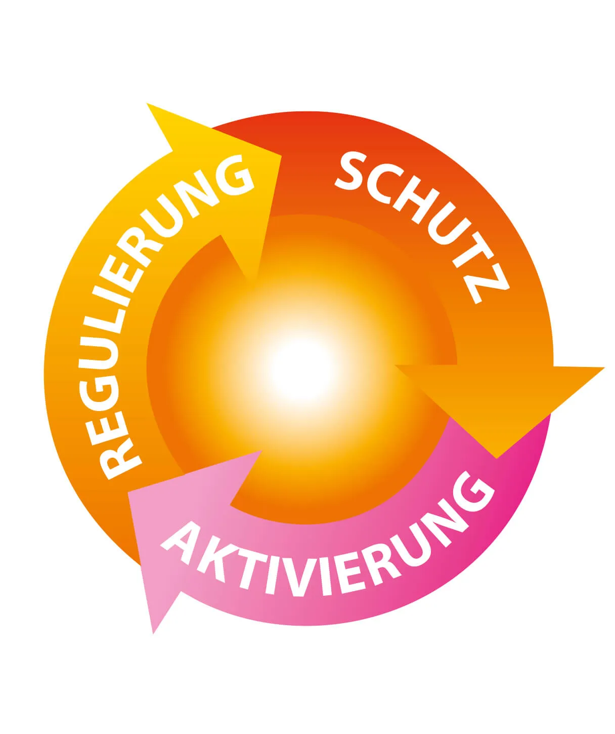 Regulierung - Schutz - Aktivierung