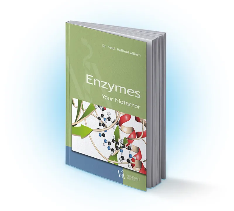 Enzymes. Your biofactor